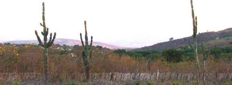 Banhos Inesquecíveis